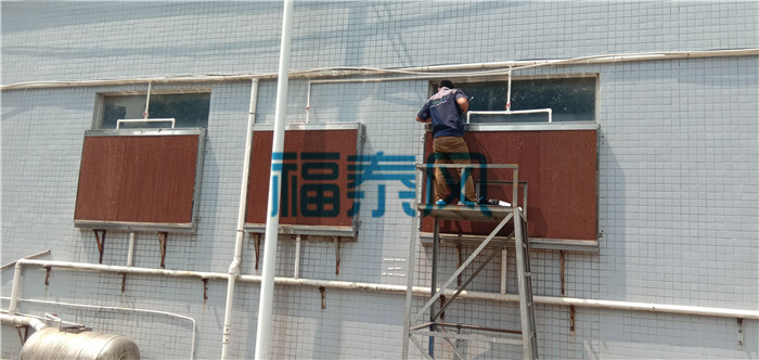 叼嘿软件免费下载/水帘纸
