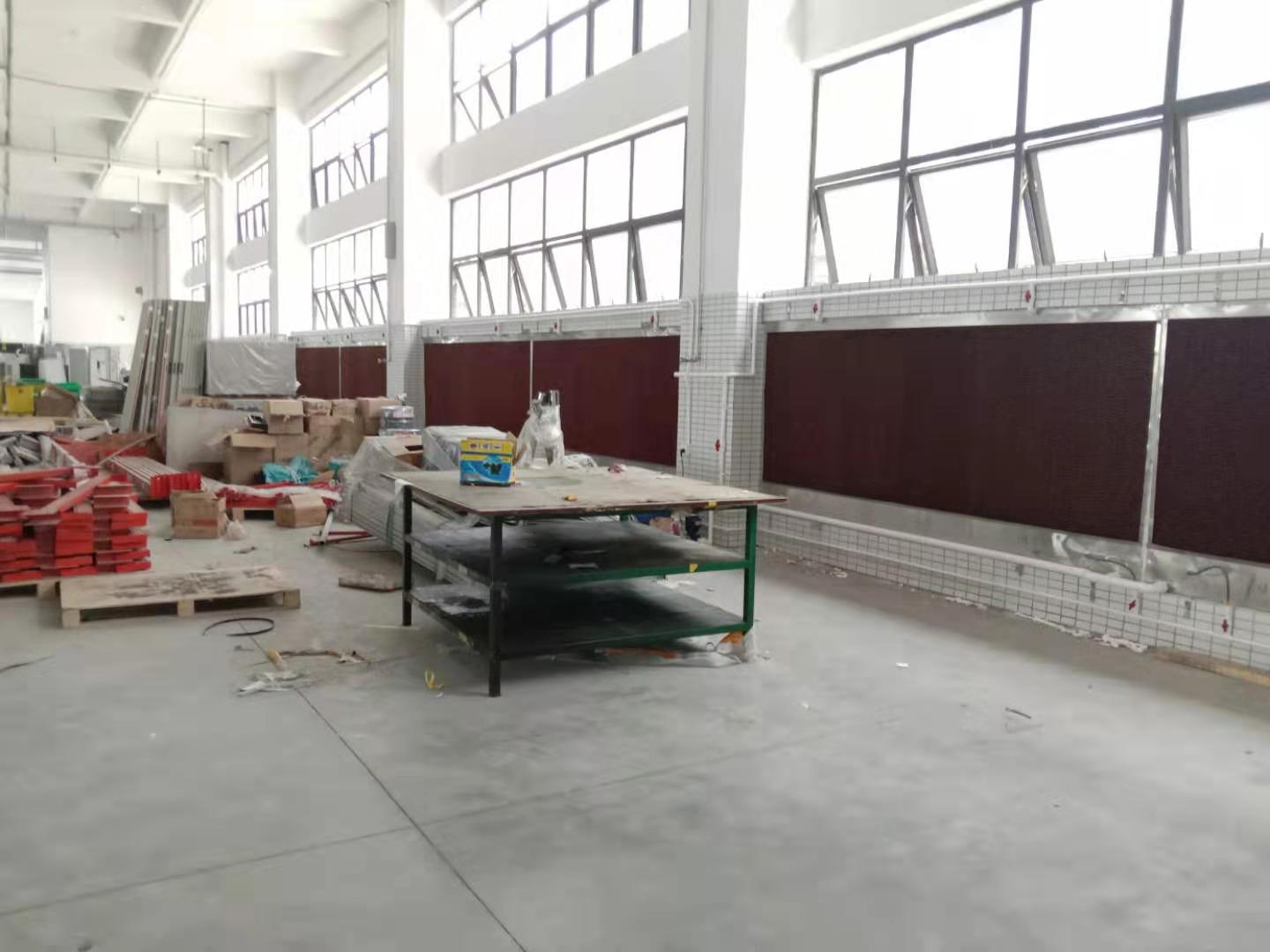 叼嘿视频大全降温的特点！